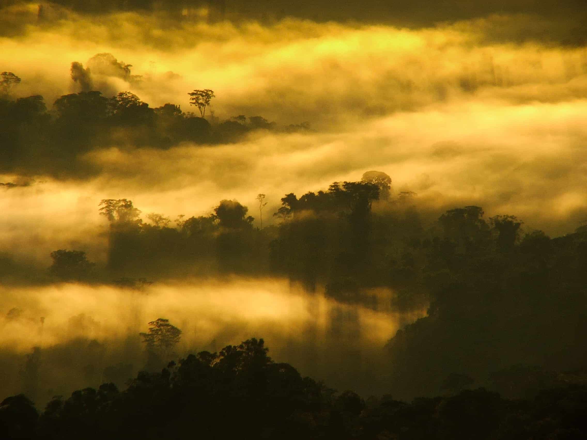 Sunrise in the Cordillera Azul project. Photo © Alvaro del Campo.