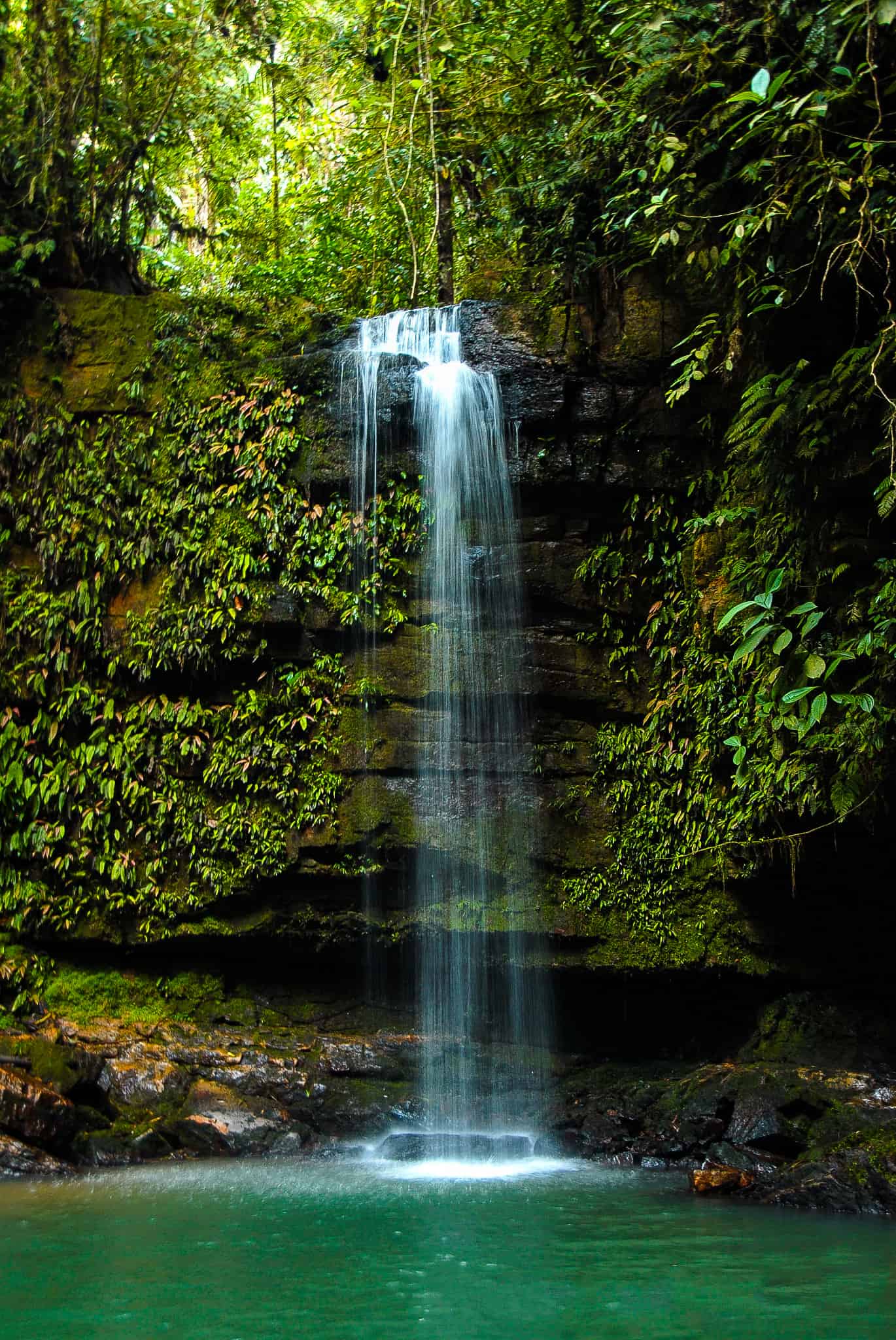A waterfall in the Cordillera Azul project.