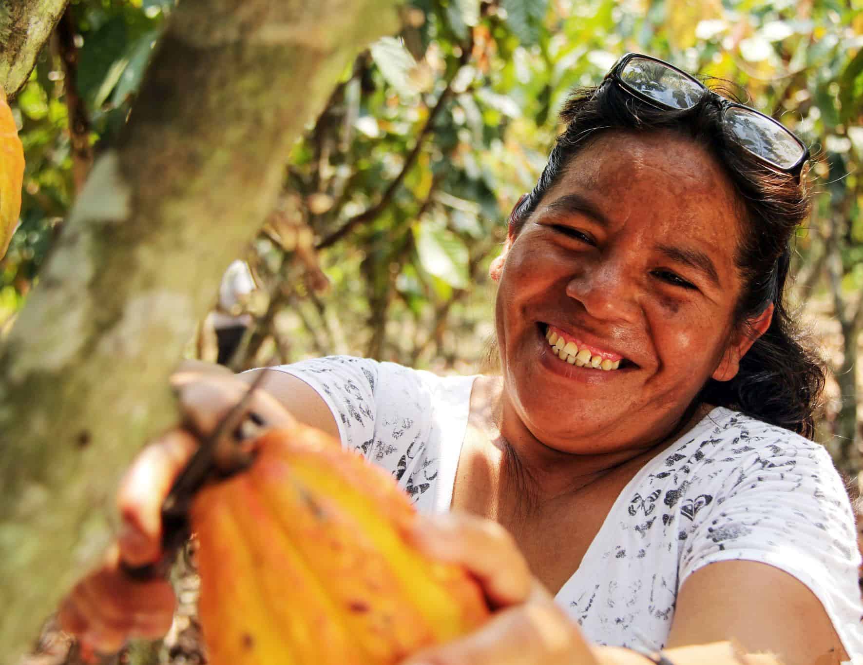 Genoveva, a cocoa farmer, harvesting her crop in the Cordillera Azul project.