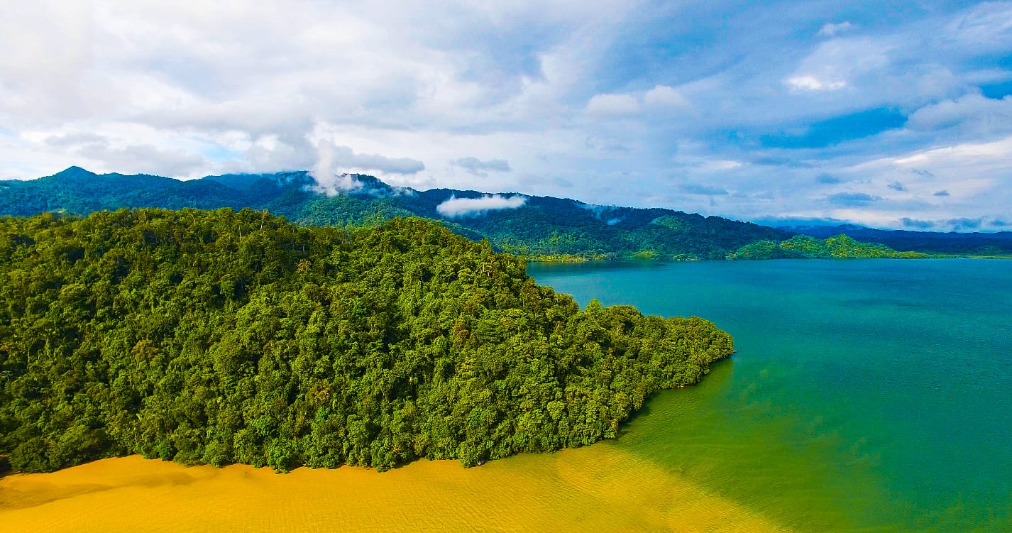 Ocean and rainforest in the Guatemala Conservation Coast project.