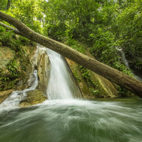 Running water and a waterfall in the Guatemala Caribbean Coast project.