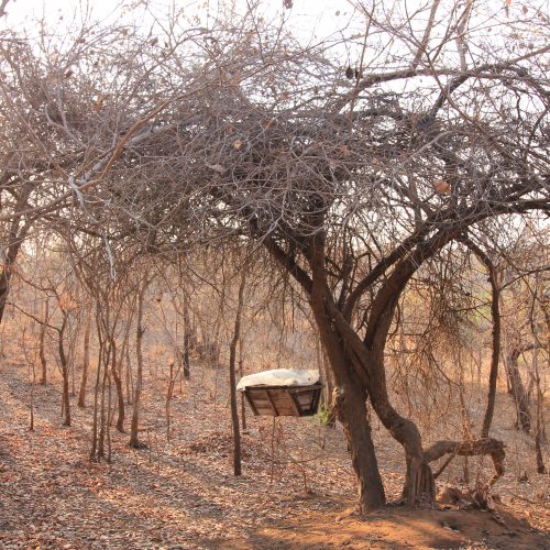 A beehive in the Kariba Wildlife Corridor project.