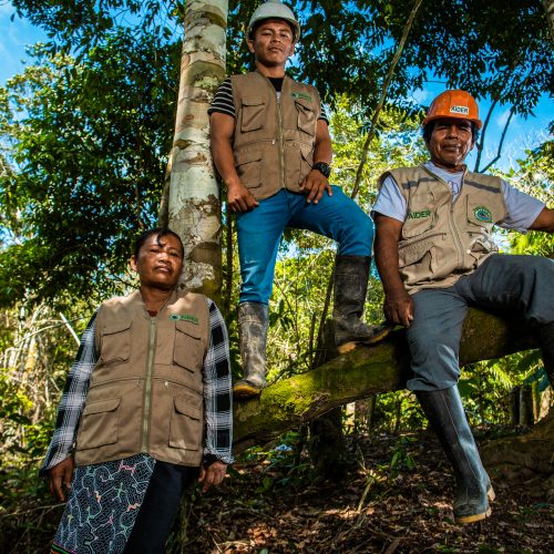 Workers near a tree in the Nii Kaniti project.