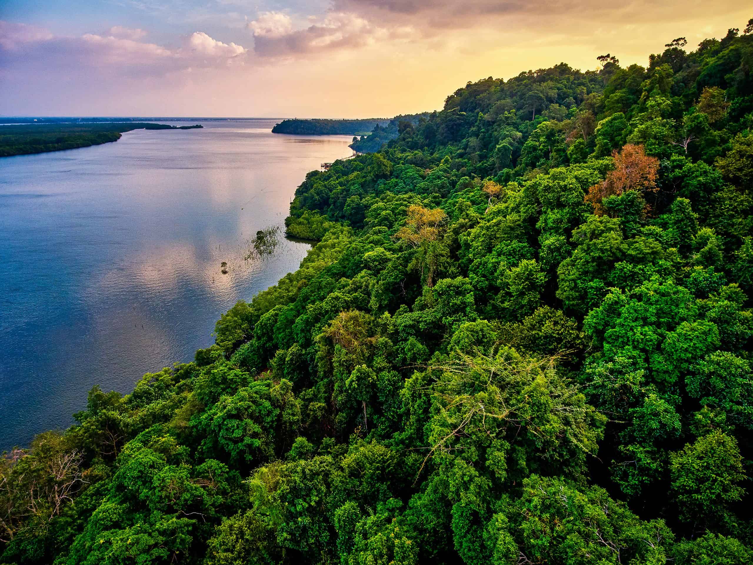 The Meteuk River in the Southern Cardamom project, Cambodia, Koh Kong Province.