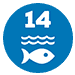 SDG 14: Life Below Water SDG 14: Life Below Water